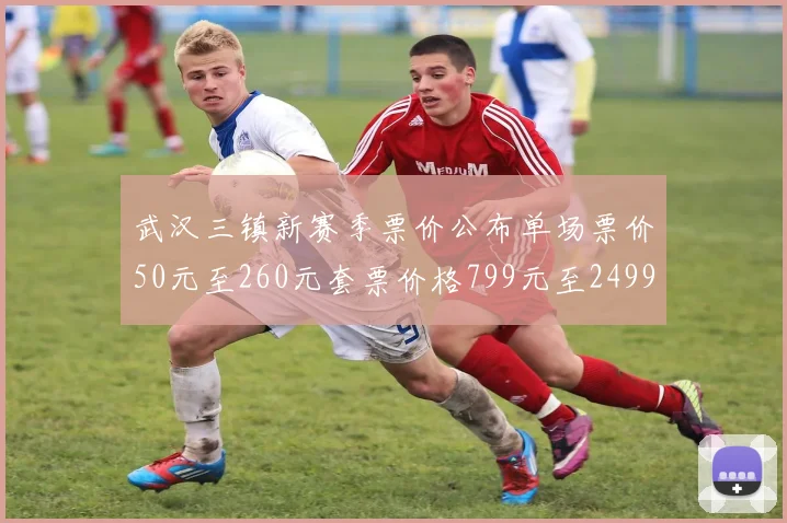 武汉三镇新赛季票价公布单场票价50元至260元套票价格799元至2499元