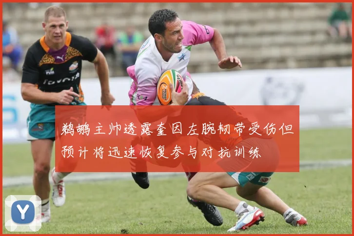 鹈鹕主帅透露奎因左腕韧带受伤但预计将迅速恢复参与对抗训练