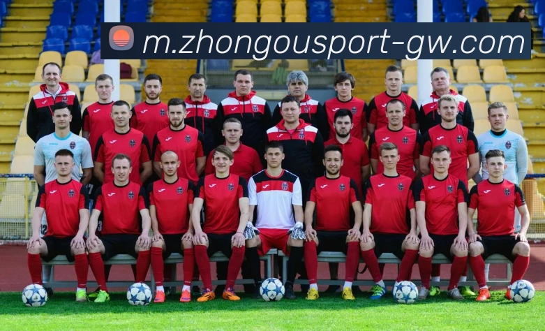 中欧体育APP 高清赛事图